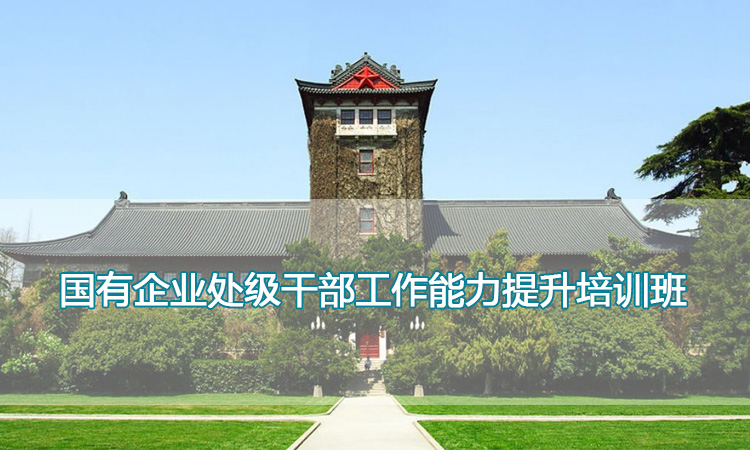 国有企业处级干部工作能力提升培训班.jpg